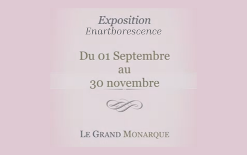 Exposition de Enartborescence au Grand Monarque