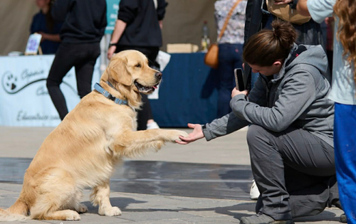 Journée de l'Animal en Ville 