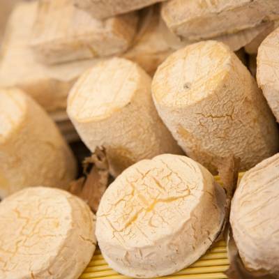 Une grande variété de fromages de chèvre au lait cru